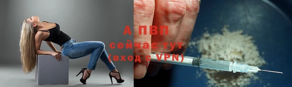 ПСИЛОЦИБИНОВЫЕ ГРИБЫ Михайлов
