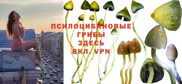 мдпв Надым