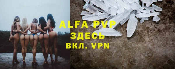 гидра Михайловка