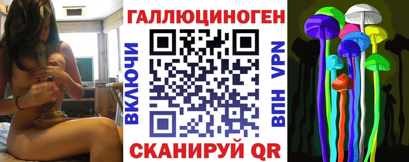Псилоцибиновые грибы GOLDEN TEACHER  как найти наркотики  Новоалександровск 
