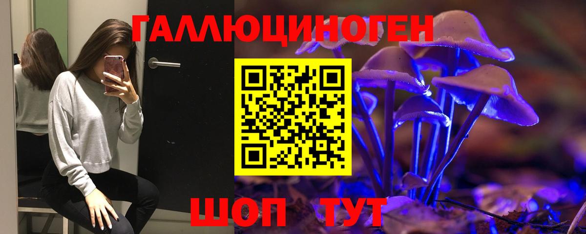 Галлюциногенные грибы Psilocybe Новоалександровск